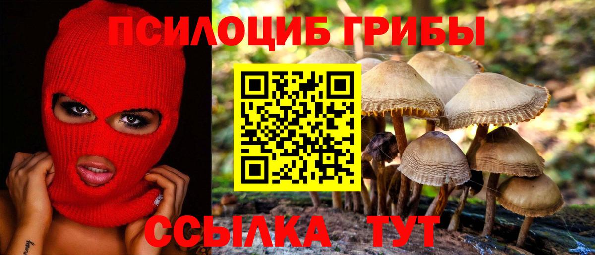 Галлюциногенные грибы мухоморы Урус-Мартан